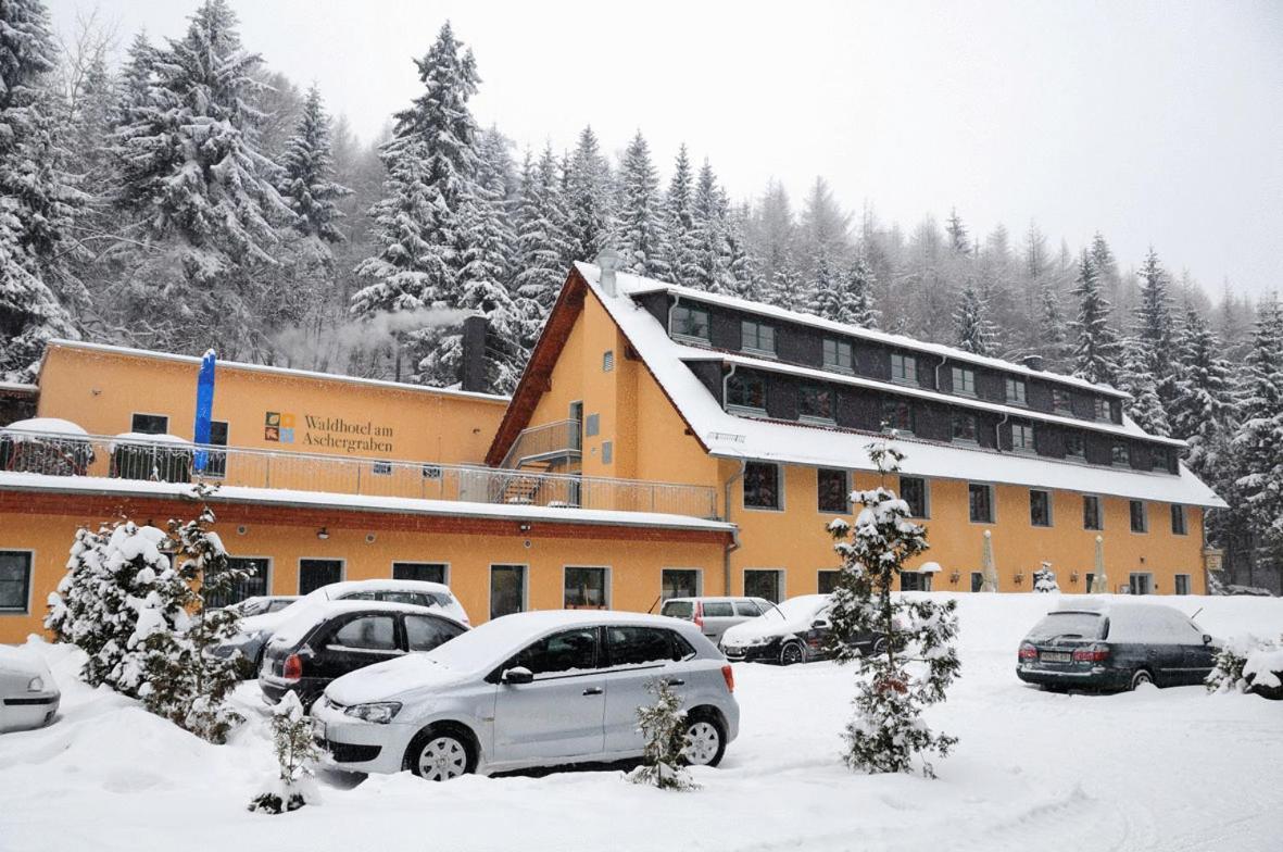 Geising Waldhotel Am Aschergraben מראה חיצוני תמונה