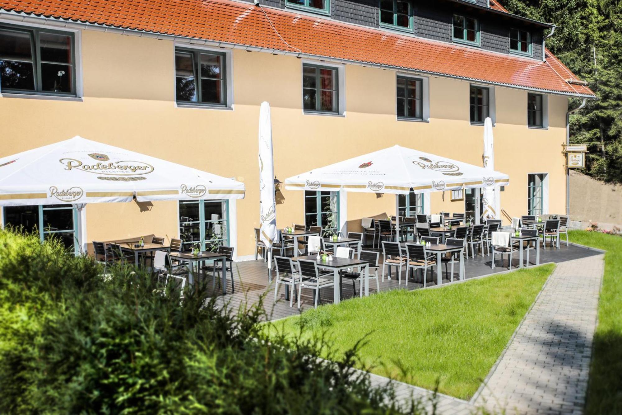 Geising Waldhotel Am Aschergraben מראה חיצוני תמונה